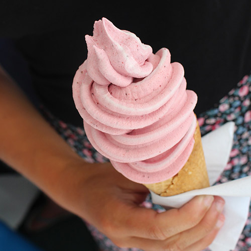 Elizabeth Brown's Soft Serve